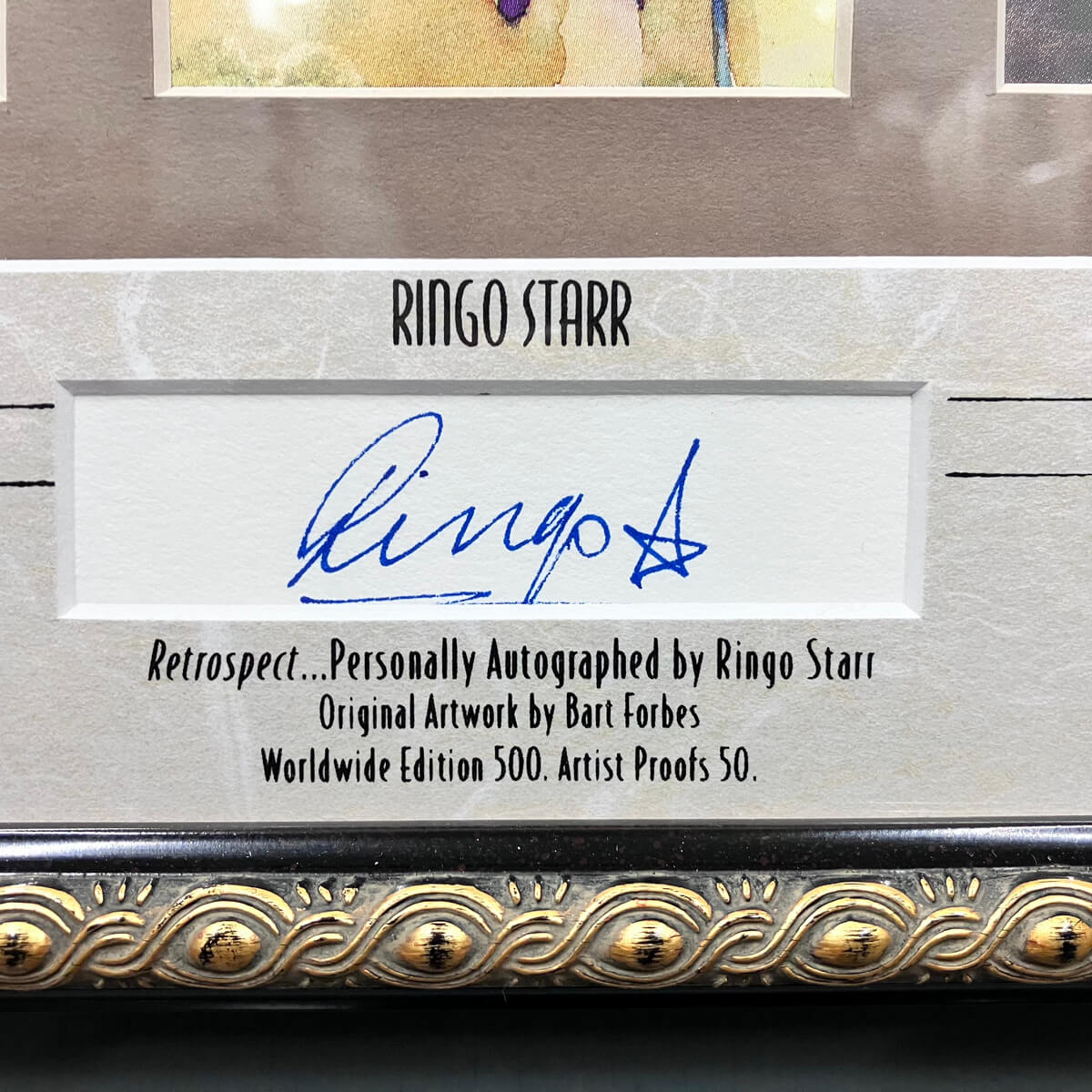 IMG_4853_1200x1200.jpg?v=